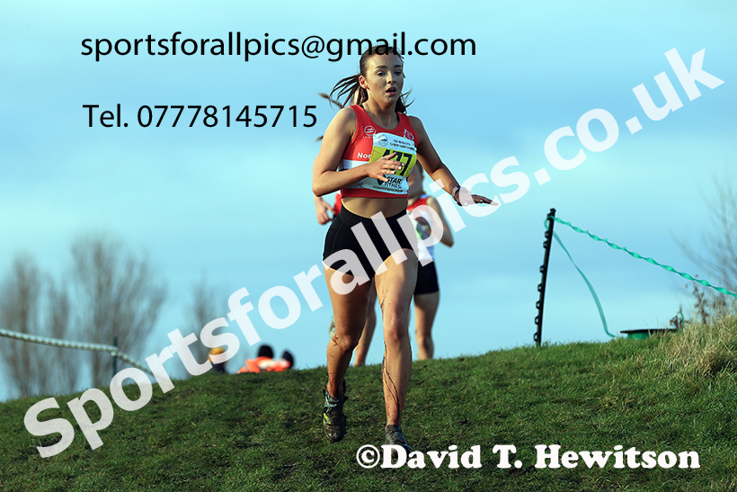 Womens under-17s and under-20s 2024 NECAA Cross Country Champs., Temple Park, South Shields. Photo: David T. Hewitson/Sports for All Pics
